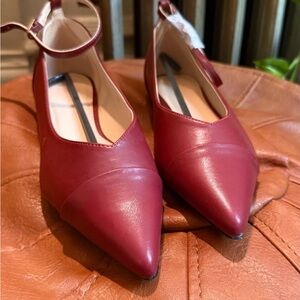 NEW IN BOX Princess Polly Red Oliny Flats with Pointed Toe and Ankle Strap